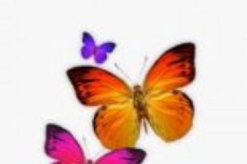 Consulta Comunale per l'Ambiente